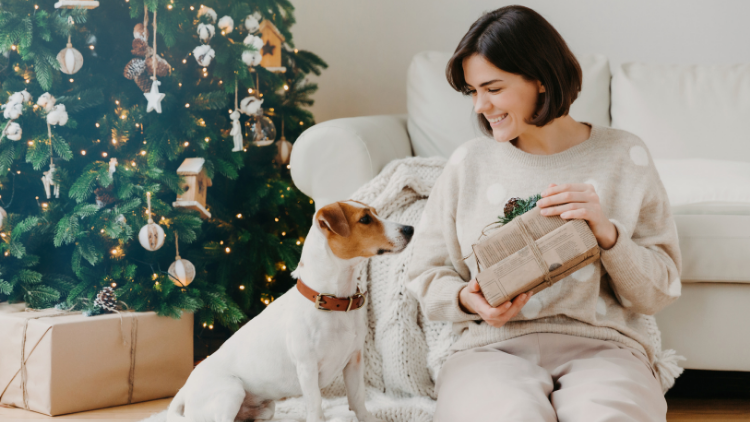 Enter the contest for a chance to win a giveaway prize packed with items from our holiday dog gift guide, valued at $200+!
