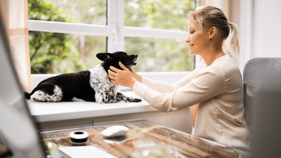 woman in home office with dog