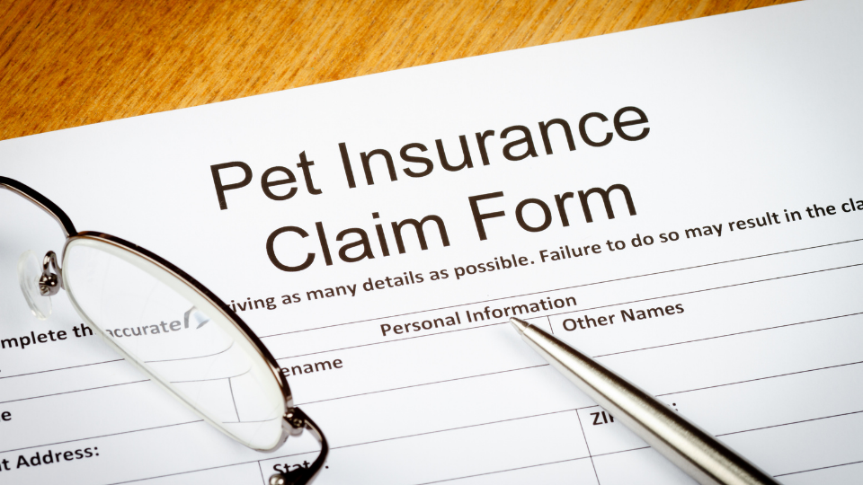 pet insurance claim form
