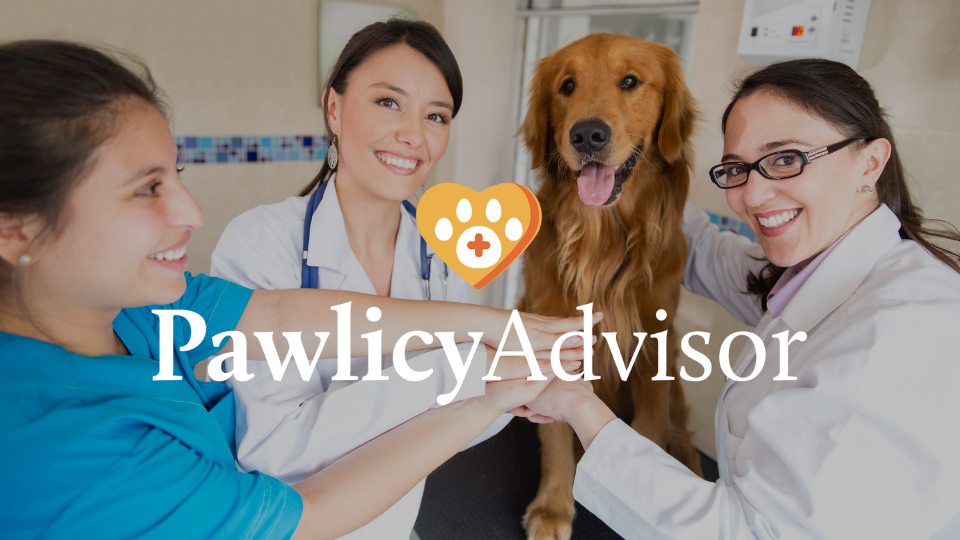 Vet teams across the U.S. have teamed up with Pawlicy Advisor to simplify the pet insurance conversation and save time.