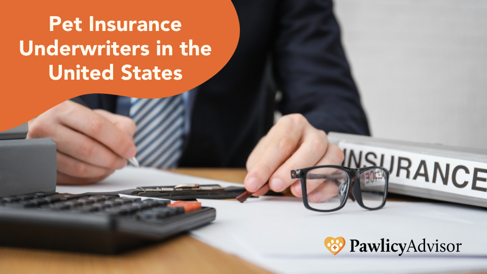 Learn about pet insurance underwriting in the United States. Our index of companies includes contact info and branded partnerships for each profile.