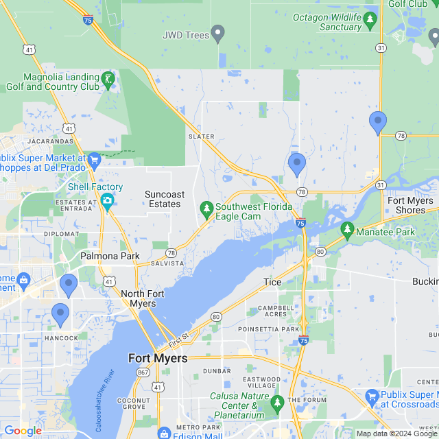 Map of veterinarians in North Fort Myers, FL