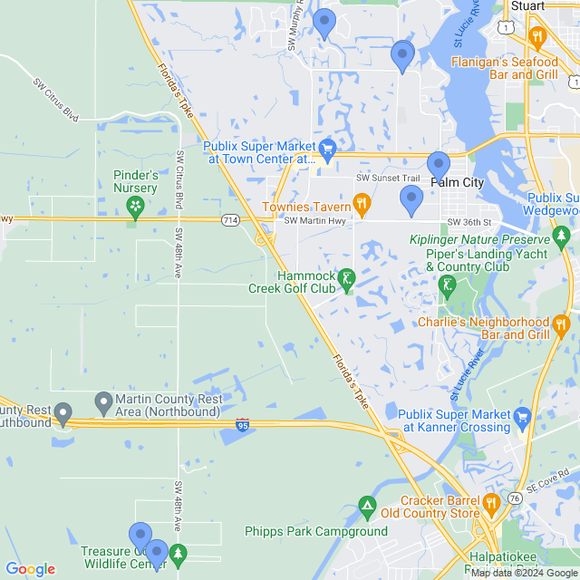 Map of veterinarians in Palm City, FL