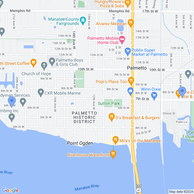 Map of veterinarians in Palmetto, FL