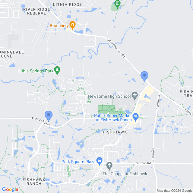 Map of veterinarians in Lithia, FL