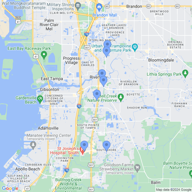 Map of veterinarians in Riverview, FL