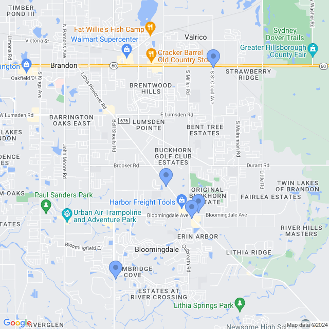 Map of veterinarians in Valrico, FL