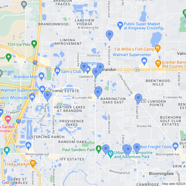 Map of veterinarians in Brandon, FL