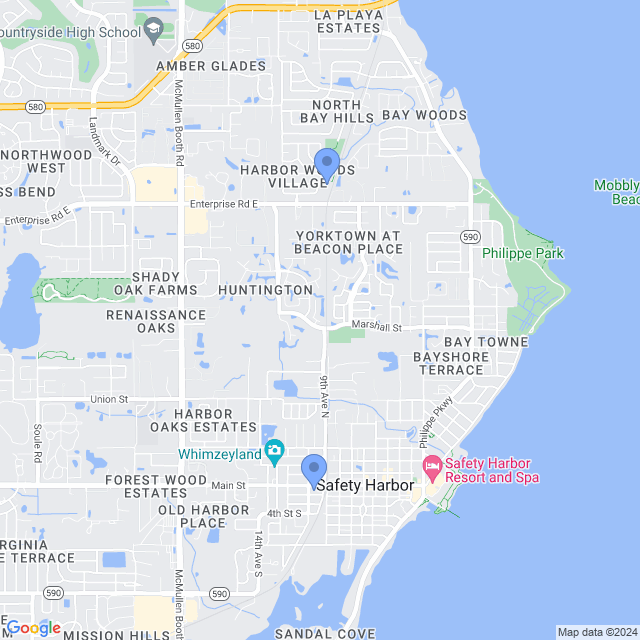 Map of veterinarians in Safety Harbor, FL