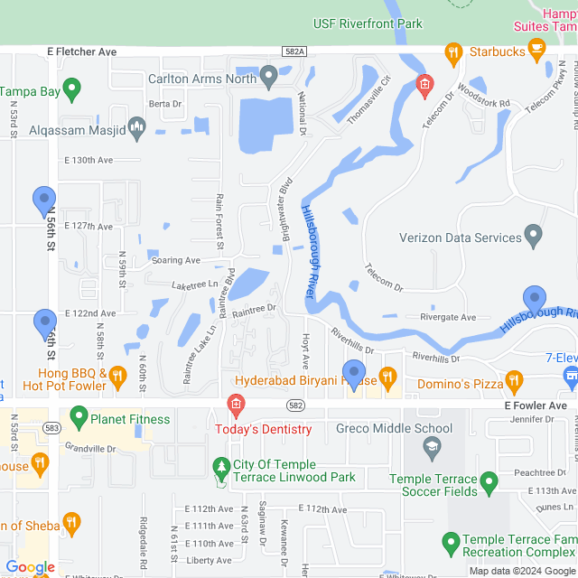 Map of veterinarians in Temple Terrace, FL