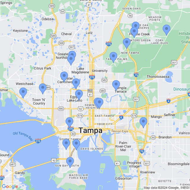 Map of veterinarians in Tampa, FL