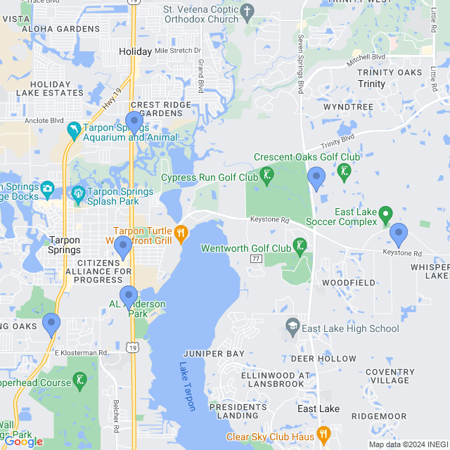 Map of veterinarians in Tarpon Springs, FL