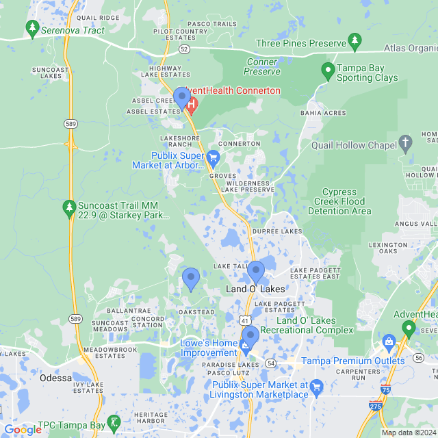 Map of veterinarians in Land O Lakes, FL