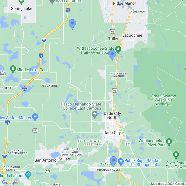 Map of veterinarians in Dade City, FL