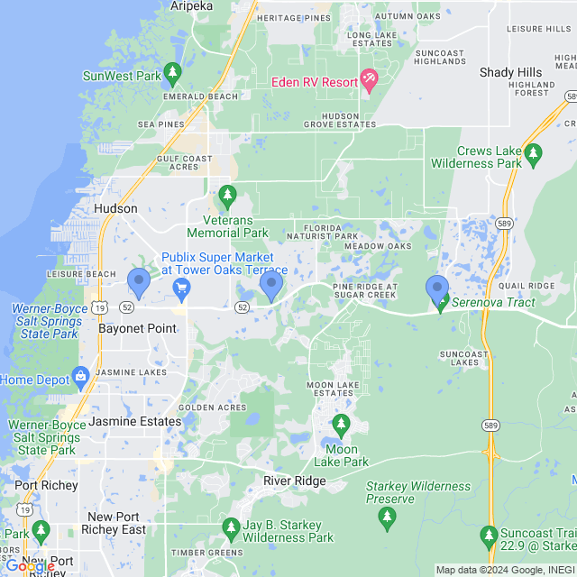 Map of veterinarians in Hudson, FL