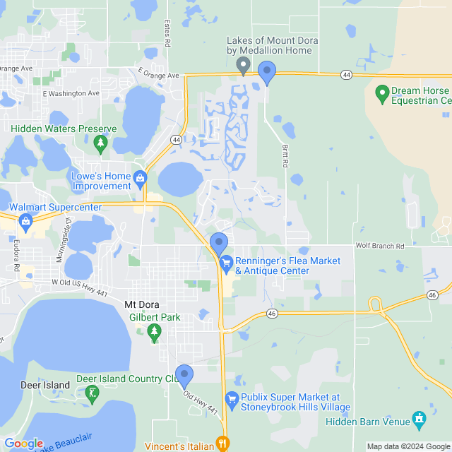 Map of veterinarians in Mt Dora, FL
