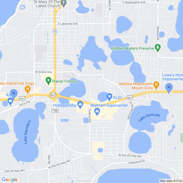 Map of veterinarians in Mount Dora, FL