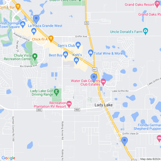 Map of veterinarians in Lady Lake, FL