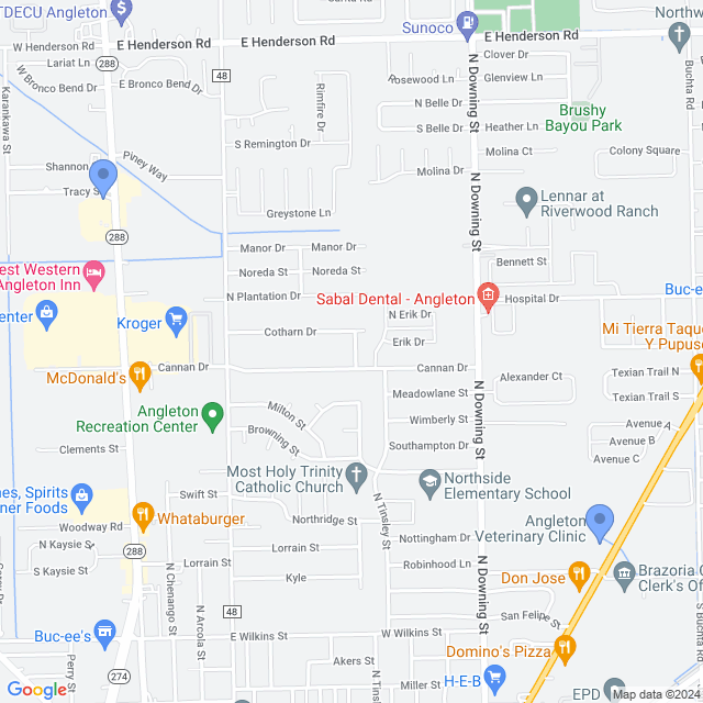 Map of veterinarians in Angleton, TX