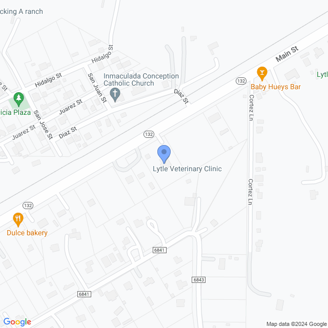 Map of veterinarians in Lytle, TX