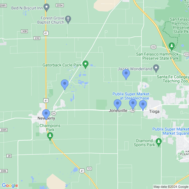 Map of veterinarians in Newberry, FL