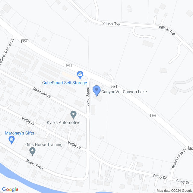 Map of veterinarians in Canyon Lake, TX