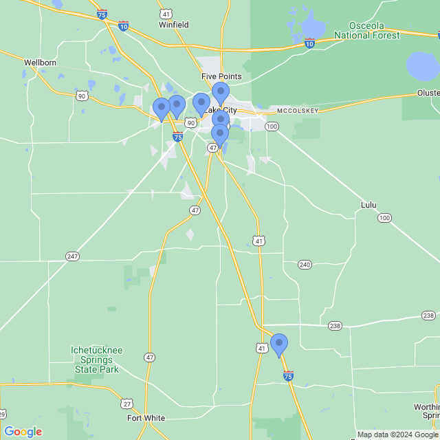 Map of veterinarians in Lake City, FL