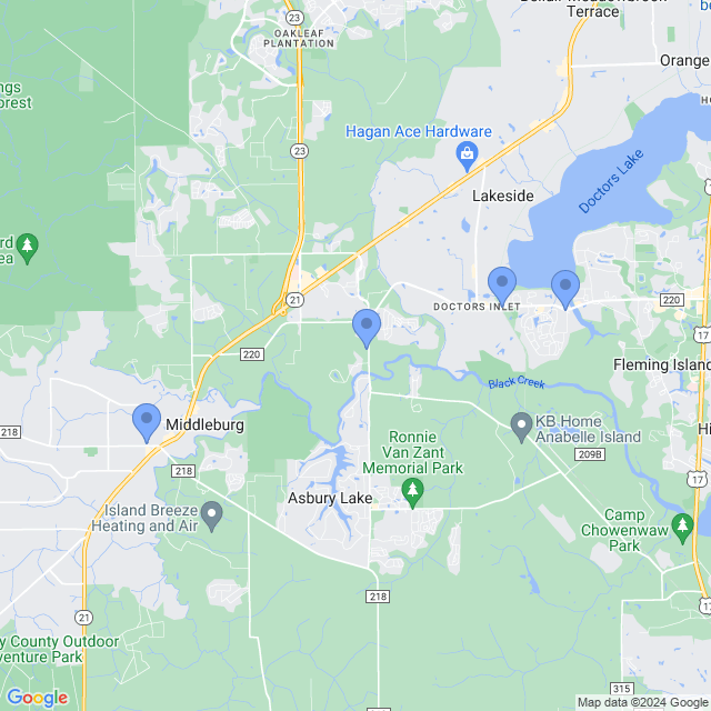 Map of veterinarians in Middleburg, FL