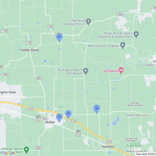 Map of veterinarians in Waller, TX