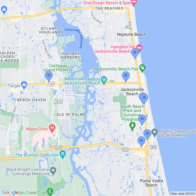 Map of veterinarians in Jacksonville Bch, FL