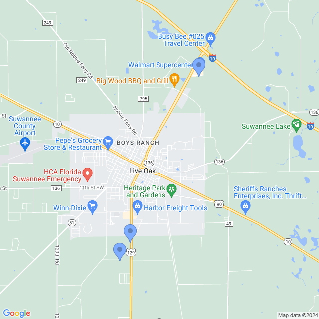 Map of veterinarians in Live Oak, FL