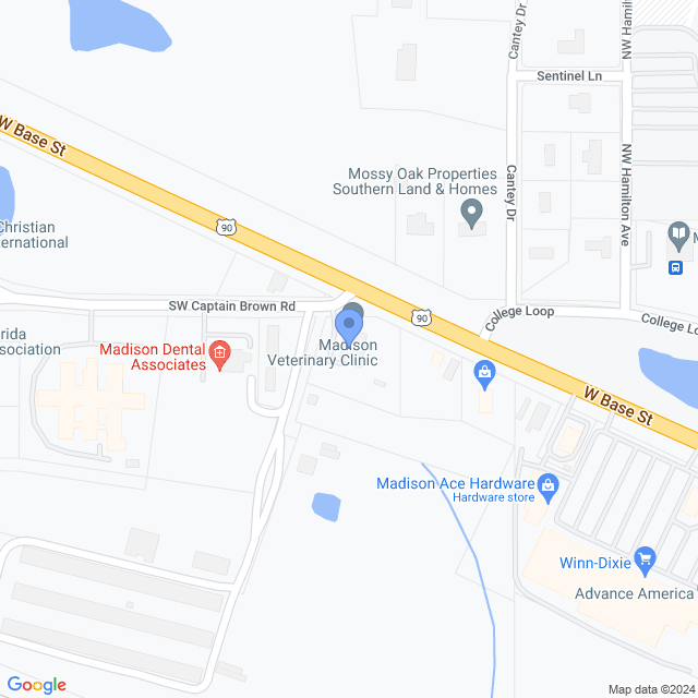 Map of veterinarians in Madison, FL