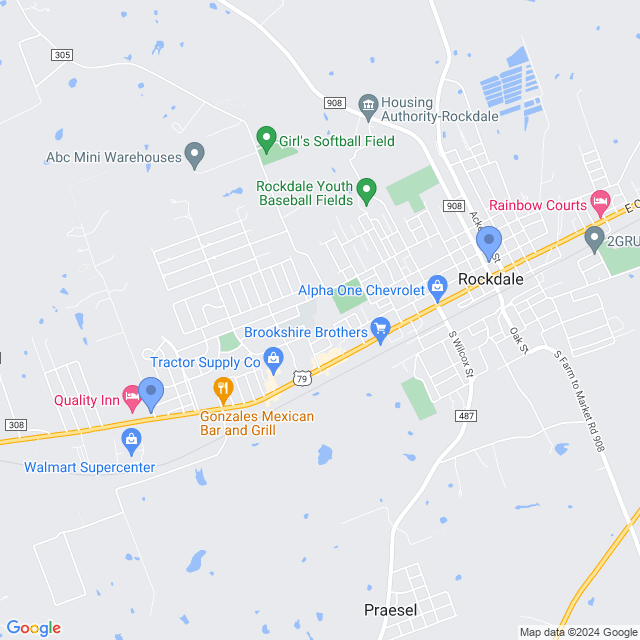 Map of veterinarians in Rockdale, TX