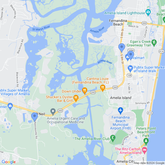 Map of veterinarians in Fernandina Beach, FL