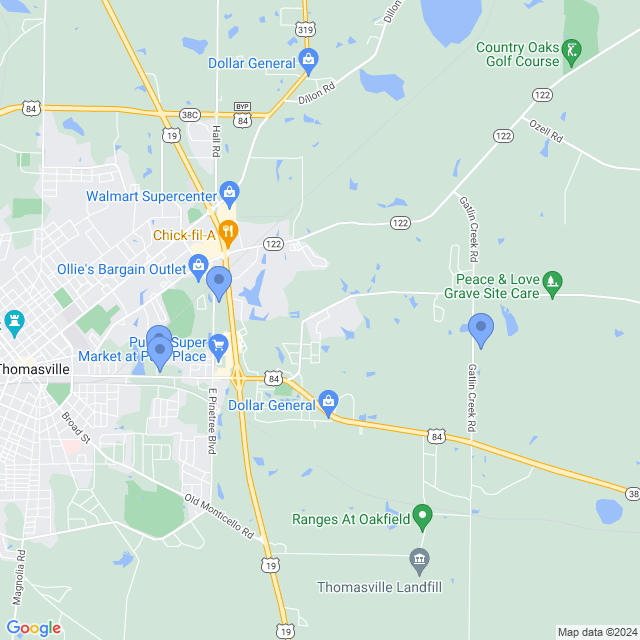 Map of veterinarians in Thomasville, GA