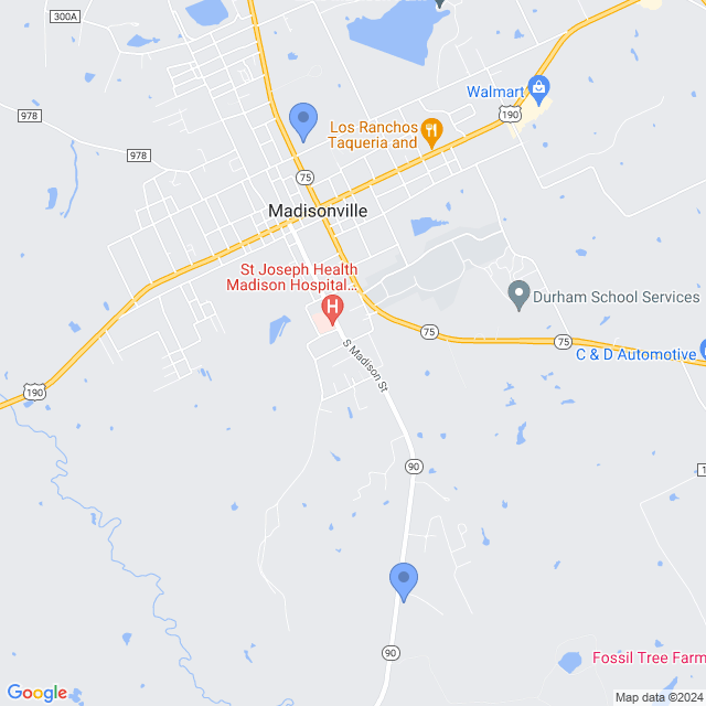 Map of veterinarians in Madisonville, TX
