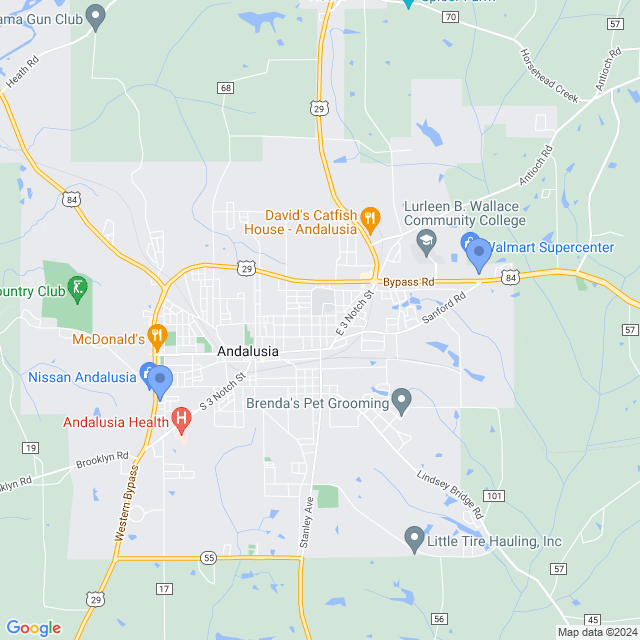 Map of veterinarians in Andalusia, AL