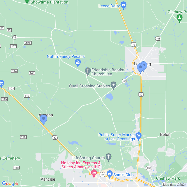 Map of veterinarians in Leesburg, GA