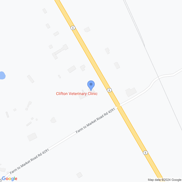 Map of veterinarians in Clifton, TX