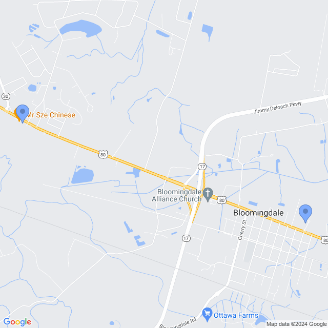 Map of veterinarians in Bloomingdale, GA