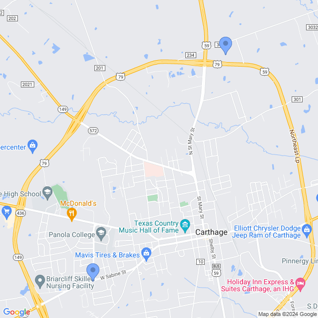 Map of veterinarians in Carthage, TX