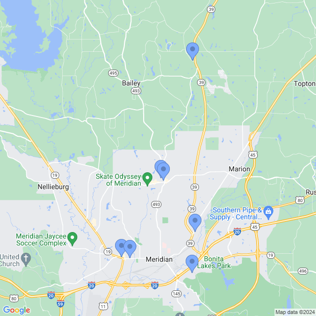 Map of veterinarians in Meridian, MS