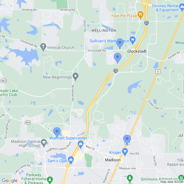 Map of veterinarians in Madison, MS