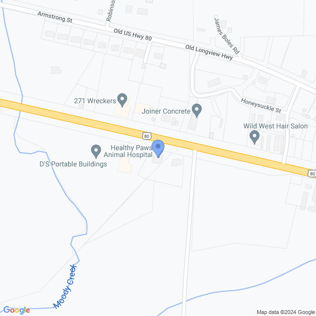Map of veterinarians in Gladewater, TX