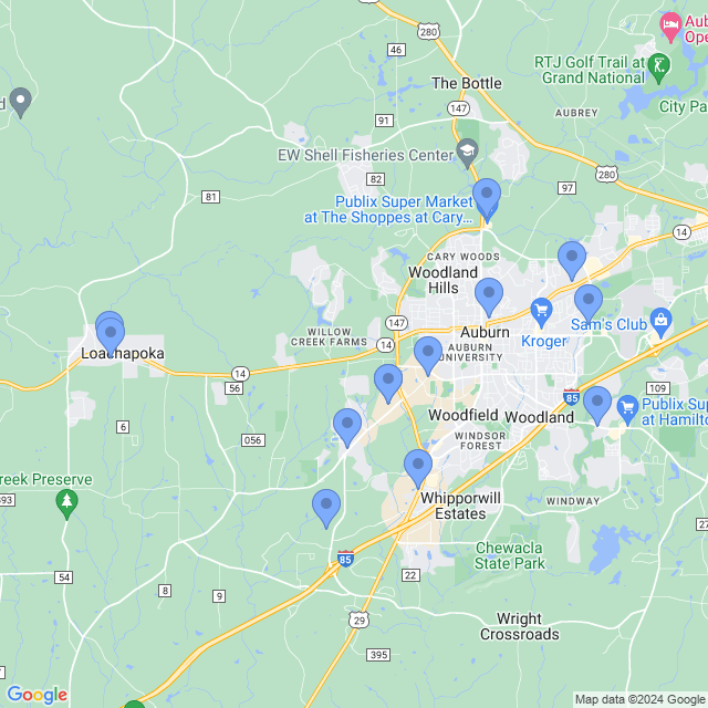 Map of veterinarians in Auburn, AL