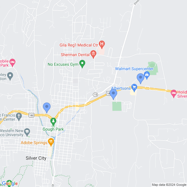 Map of veterinarians in Silver City, NM