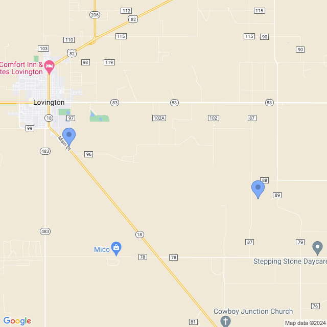 Map of veterinarians in Lovington, NM