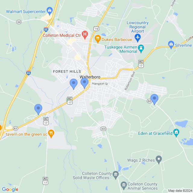 Map of veterinarians in Walterboro, SC
