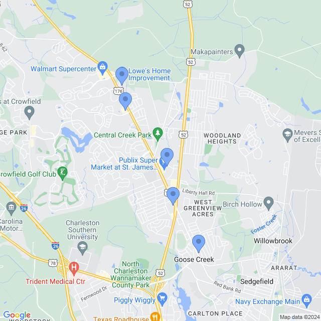 Map of veterinarians in Goose Creek, SC