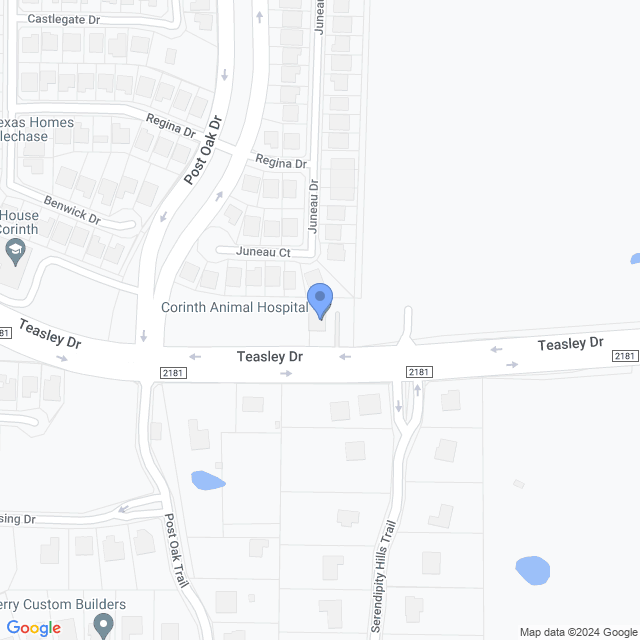 Map of veterinarians in Corinth, TX